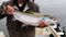 An angler holds a six-pound Atlantic Salmon caught on Lake Huron near Rodgers City, Michigan. Ten years after teh chinook salmon fishery collapsed, salmon hatched and released by Lake Superior State University are found in the lake. (Eric Sharp/Detroit Free Press/MCT)